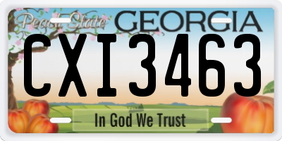 GA license plate CXI3463