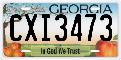 GA license plate CXI3473