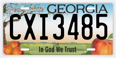 GA license plate CXI3485