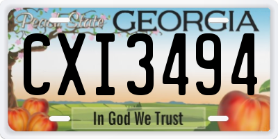 GA license plate CXI3494