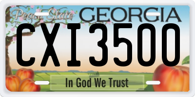 GA license plate CXI3500