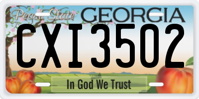 GA license plate CXI3502
