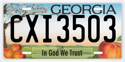 GA license plate CXI3503