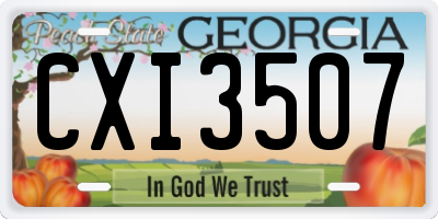 GA license plate CXI3507