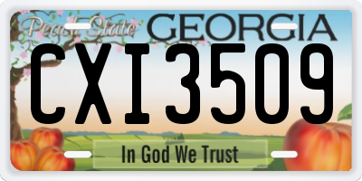 GA license plate CXI3509