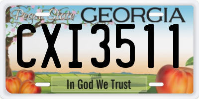 GA license plate CXI3511