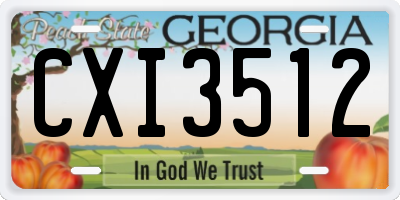 GA license plate CXI3512