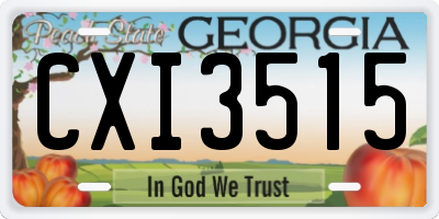 GA license plate CXI3515