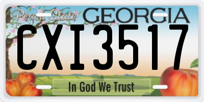 GA license plate CXI3517