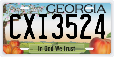 GA license plate CXI3524