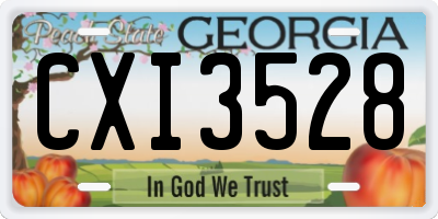 GA license plate CXI3528