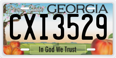GA license plate CXI3529