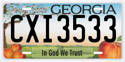 GA license plate CXI3533