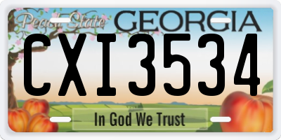 GA license plate CXI3534