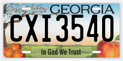 GA license plate CXI3540