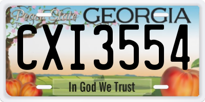 GA license plate CXI3554