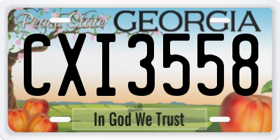 GA license plate CXI3558