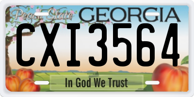 GA license plate CXI3564