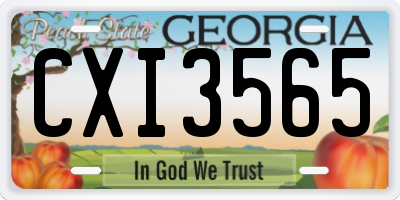 GA license plate CXI3565