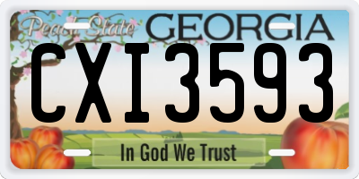 GA license plate CXI3593
