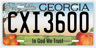GA license plate CXI3600