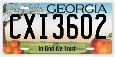 GA license plate CXI3602