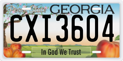 GA license plate CXI3604