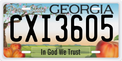 GA license plate CXI3605