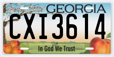 GA license plate CXI3614
