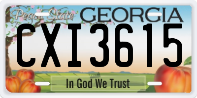 GA license plate CXI3615