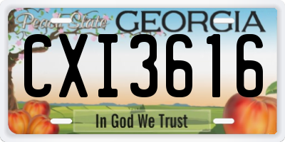 GA license plate CXI3616