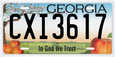 GA license plate CXI3617