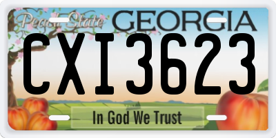 GA license plate CXI3623