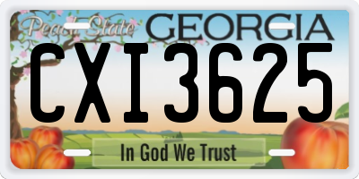 GA license plate CXI3625