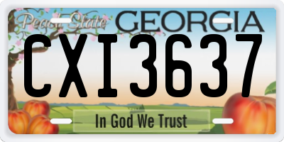 GA license plate CXI3637