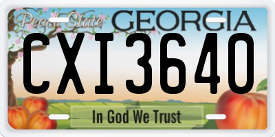 GA license plate CXI3640