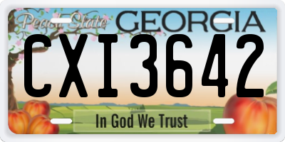 GA license plate CXI3642