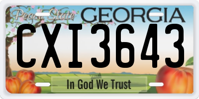GA license plate CXI3643
