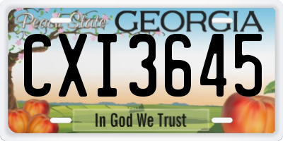 GA license plate CXI3645