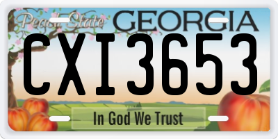 GA license plate CXI3653