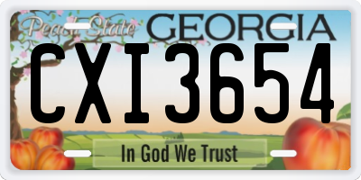 GA license plate CXI3654