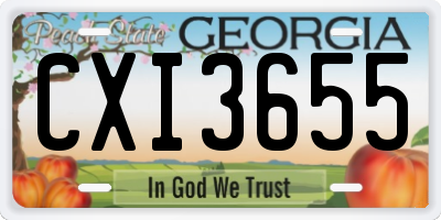 GA license plate CXI3655