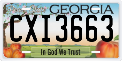 GA license plate CXI3663