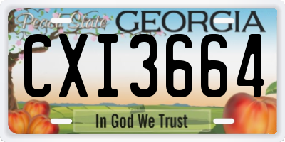 GA license plate CXI3664