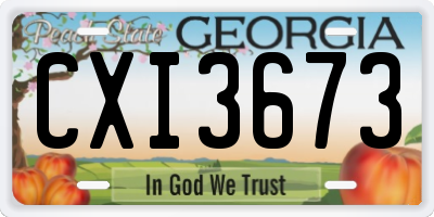 GA license plate CXI3673