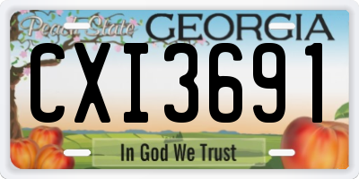 GA license plate CXI3691