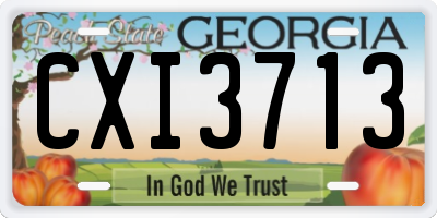 GA license plate CXI3713