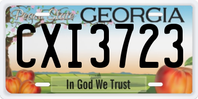 GA license plate CXI3723