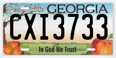 GA license plate CXI3733