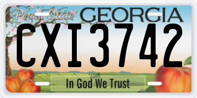 GA license plate CXI3742